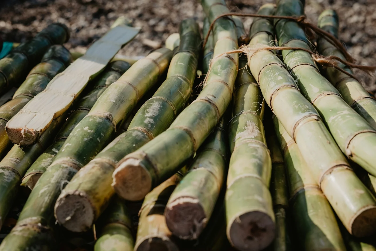 Is Sugarcane Juice Good for Fatty Liver?