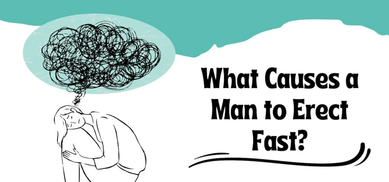 What Causes a Man to Erect Fast?