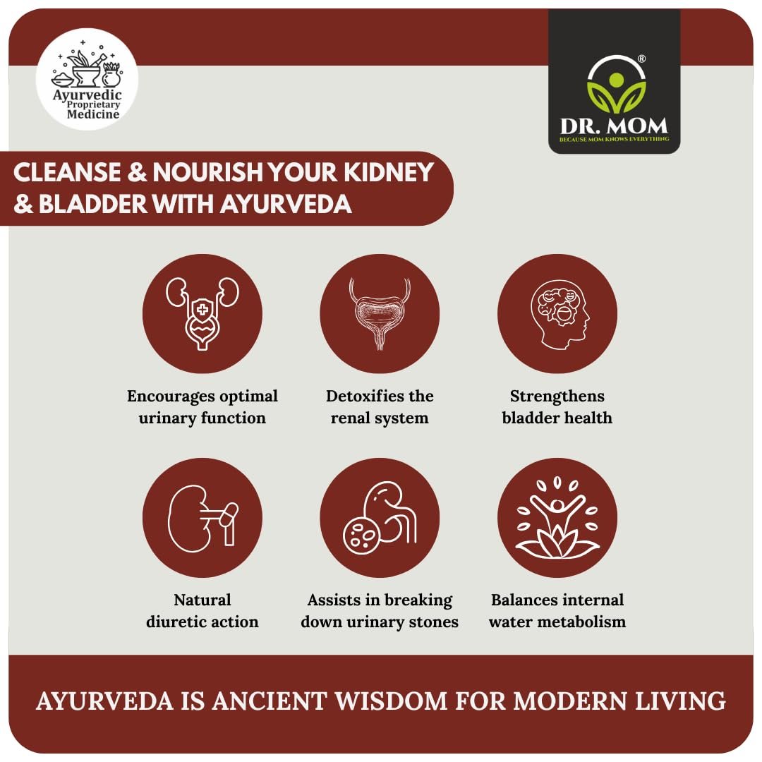 Urimom — The Best Ayurvedic Capsule for Uric Acid - 60 Cap. image 2