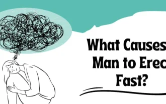 What Causes a Man to Erect Fast?