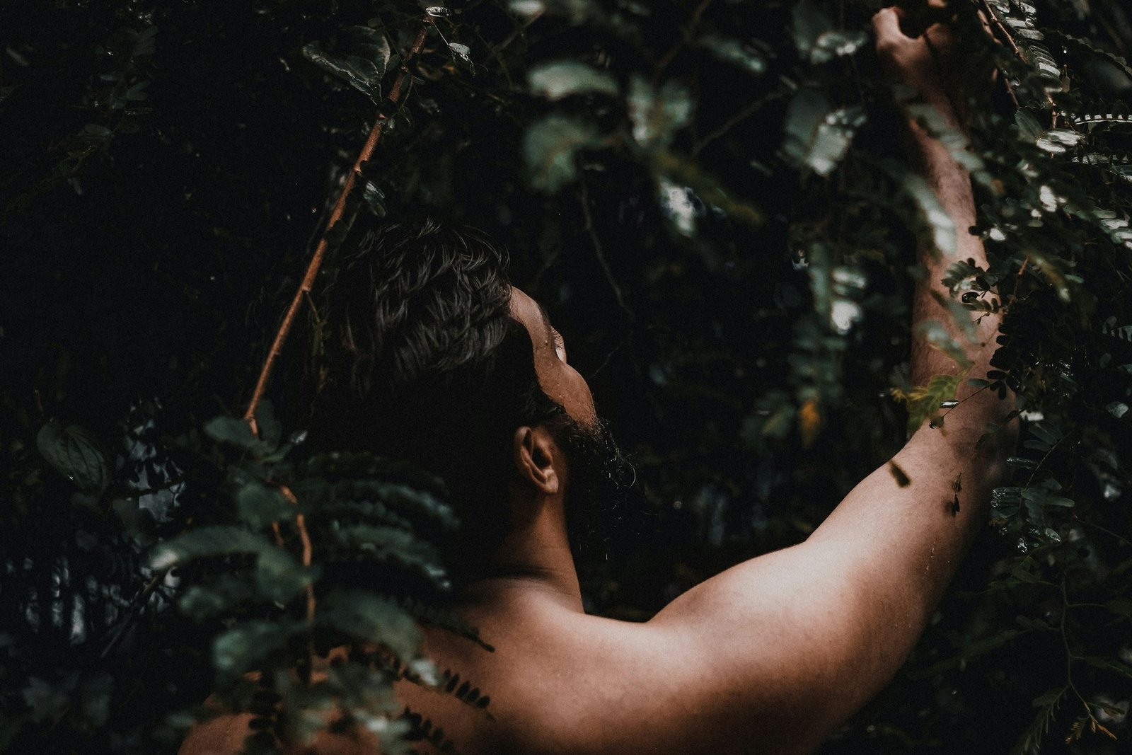 The Ayurvedic Approach to Aging Can Natural Remedies Rival Modern Aesthetics